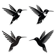 Four stylized black hummingbird silhouettes are isolated on a white background for graphic design elements