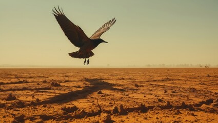 Naklejka premium A bird in flight over a barren, sandy landscape under a clear blue sky, casting a long shadow