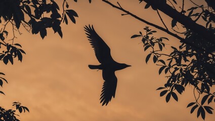 Silhouette of a bird in flight against a vibrant sunset sky with silhouettes of tree branches