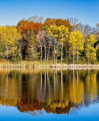 Autumn Landscape, Minnesota