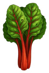 Vibrant bunch of fresh red chard with bright green leaves and striking red stems isolated on white