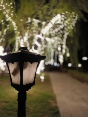 Warmly lit lamp post next to a path with trees adorned in festive lights
