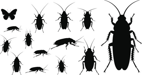 Cockroach and butterfly silhouette, insect vector illustration, pest control concept, black bug graphic, entomology study, isolated white background