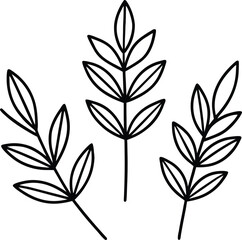 Elegant floral botanical illustration with black outline in a minimalist design