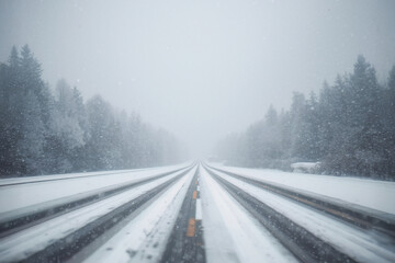 A quiet snow-covered road stretching into the misty winter forest.