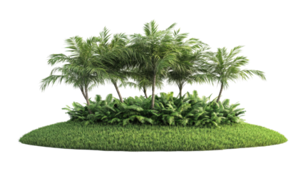 Lush tropical palm trees and ferns isolated on a transparent background