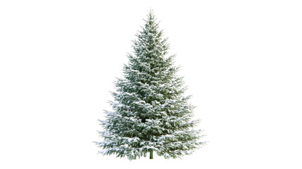 Fototapeta premium Snow covered evergreen tree isolated on a transparent background
