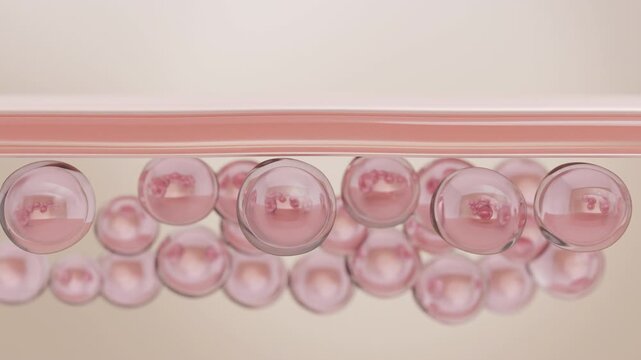 Collagen and PDRN Serum Molecule Repairing Dehydrated Skin Fiber, 3D Animation