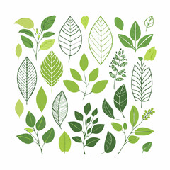 Naklejka premium A clean and elegant set of organic nature line art illustrations featuring leaves, plants, and botanical branches. Designed in a thin outline style, this vector collection is perfect for eco branding,