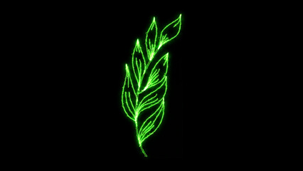 Glowing neon green plant stem with elegant leaves illustration on a dark black background, featuring a futuristic electric outline vector graphic for modern design elements