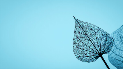 lungs. Close-up of delicate leaf veins resembling a natural network on a soft blue background. gardening catalogs, home-decor guides, designed for home decor and floral branding.