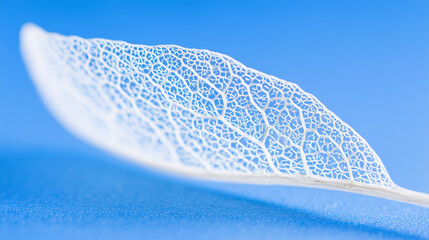 lungs. Close-up of delicate leaf veins resembling a natural network on a soft blue background. gardening catalogs, home-decor guides, designed for home decor and floral branding.