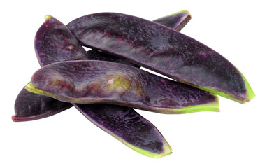 Group of fresh raw purple mangetout pods isolated on a white background