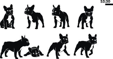 French Bulldog silhouette, dog poses, pet icon, black vector, breed illustration, muscular build, cad drawing flat vector illustration