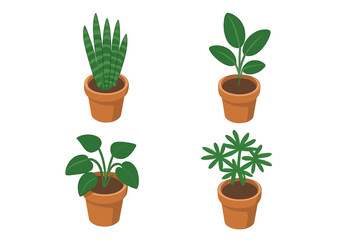 Obraz premium Four isometric potted houseplants with vibrant green foliage