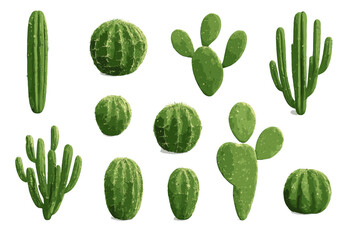 Collection of various green desert cacti and succulents isolated on white background © icon_art