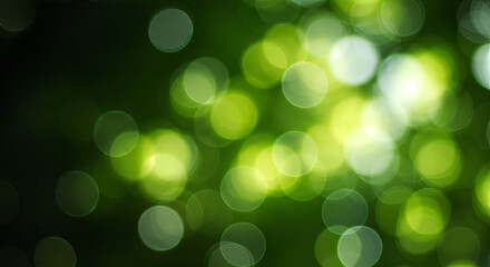 Abstract blurred green and white bokeh lights background, creating a serene and dreamy atmosphere, perfect for wallpapers or graphical projects