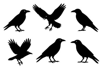 Set of six black crow silhouettes in different poses including standing and flying