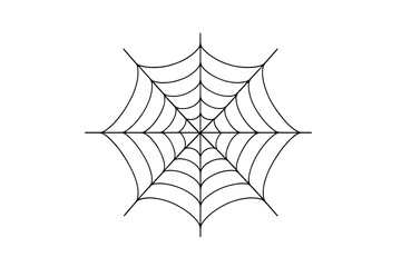 Detailed symmetrical spider web structure in black and white outline drawing