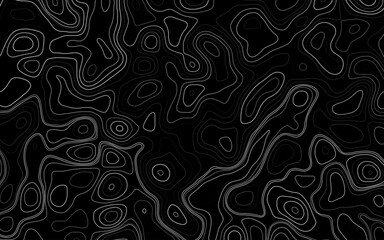 Abstract Topography line poster vector. The concept of a topographic contour geography scheme and the terrain path.