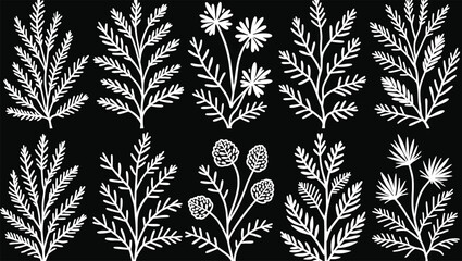 Elegant White Botanical Leaf Illustrations on Black Background in Decorative Seamless Design