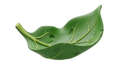 Vibrant green leaf with prominent veins isolated on a clean white background.