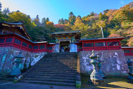 秋の群馬県富岡市の妙義神社の唐門(からもん)を見る
