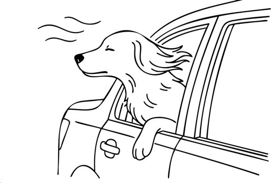 A dog is sitting in a car with the window down and the air conditioning on. The dog is relaxed and comfortable