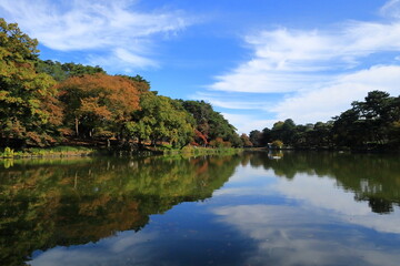 Fototapeta premium 日本 埼玉の秋の風景