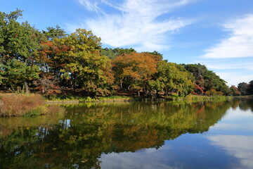 日本　埼玉の秋の風景