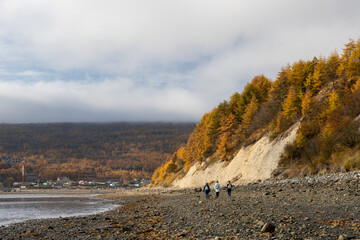 Autumn landscape. View of the seashore at low tide. Forest on the coast. Seaside village in the distance. People are walking along the shore. Low clouds over the mountains. Magadan region, Russia.