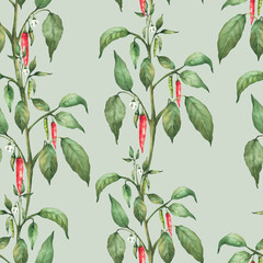 Chili pepper plant seamless pattern with red and green Pepper pods, flowers and leaves. Hand drawn watercolor illustration. Hot spicy vegetables on Isolated pastel background for fabric, tablecloth.