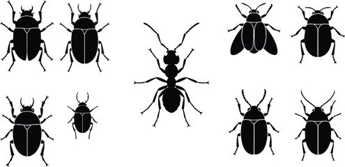 Collection of black beetle and ant silhouettes on white background insect