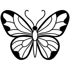 butterfly on a white background