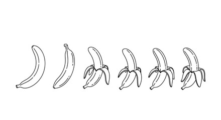Obraz premium Vector illustration of banana peeling process illustration, handdrawn sketch, white