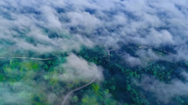 Aerial view of a road through a forest covered in fog in sajek valley