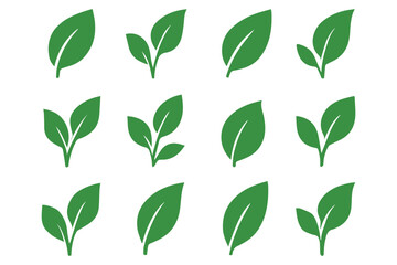 Green leaf icons set. Leaves icon on transparent background. Collection green leaf. Elements design for natural, eco, vegan, bio labels.