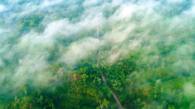 Aerial view of a road through a forest covered in fog in sylhet