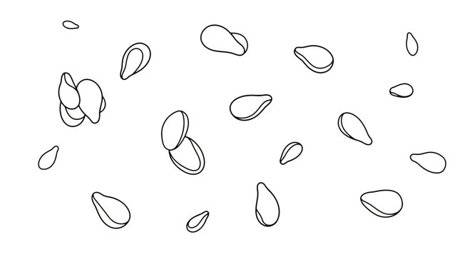 Vector illustration of sesame seed pattern in continuous line drawing isolated on