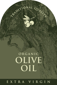 Vector design of olive or olive oil label with old olive tree and olives in vintage style. Logo, packaging design, sticker, banner. No AI used