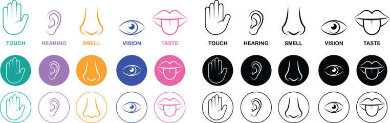 Five senses icon set collection group with touch hand, hearing ear, smell nose, vision eye, taste mouth symbols in flat and line style outline minimal vector design on transparent background