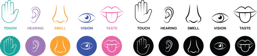 Fototapeta premium Five senses icon set collection group with touch hand, hearing ear, smell nose, vision eye, taste mouth symbols in flat and line style outline minimal vector design on transparent background