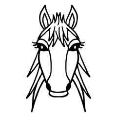 Vector sketch of a horse portrait. Black and white outline of a horse's head in doodle style.