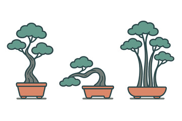 Three traditional Japanese bonsai trees in ceramic pots displaying different styles