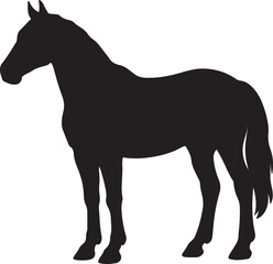 Silhouette of a horse isolated on white background