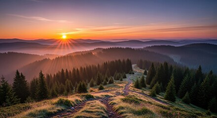 Sunrise over misty forested hills reveals winding path to horizon grandeur