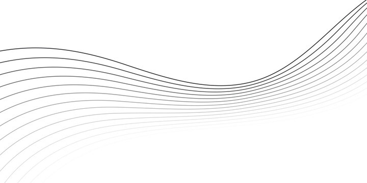 Abstract Lines black white, curved thin lines, graphic element for modern background design, use for wallpaper or web design, flowing graphic