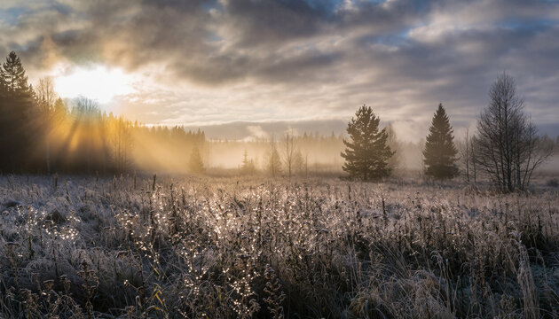 Sunlit Frosty Meadow at Winter Sunrise - Powered by Adobe