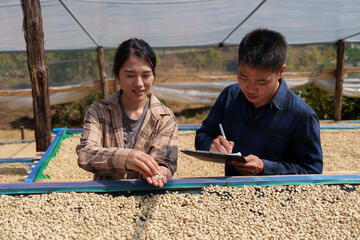 People inspect the roasting of coffee beans in large metal vats, which are a blend of Arabica and Robusta coffee beans to produce high-quality coffee with excellent taste.