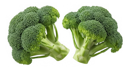 Two fresh green broccoli florets isolated on transparent background